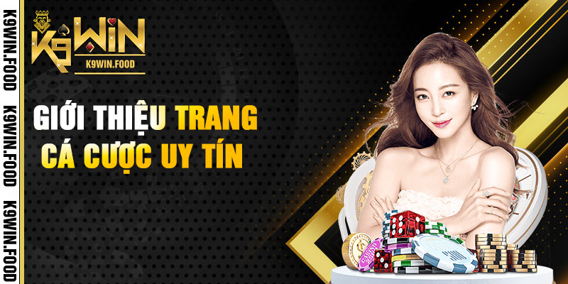 Một vài thông tin cơ bản về K9WIN